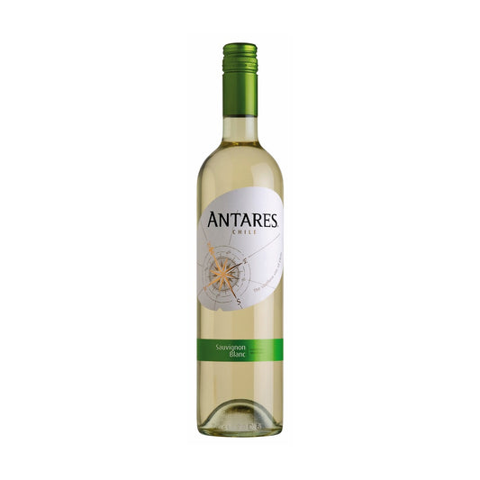 Santa Carolina Antares Sauvignon Blanc